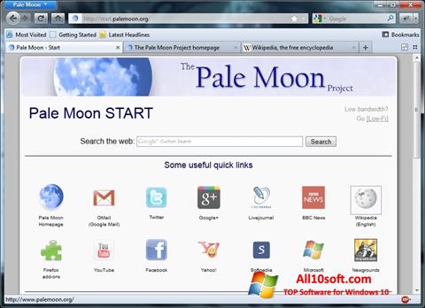 Ekrānuzņēmums Pale Moon Windows 10